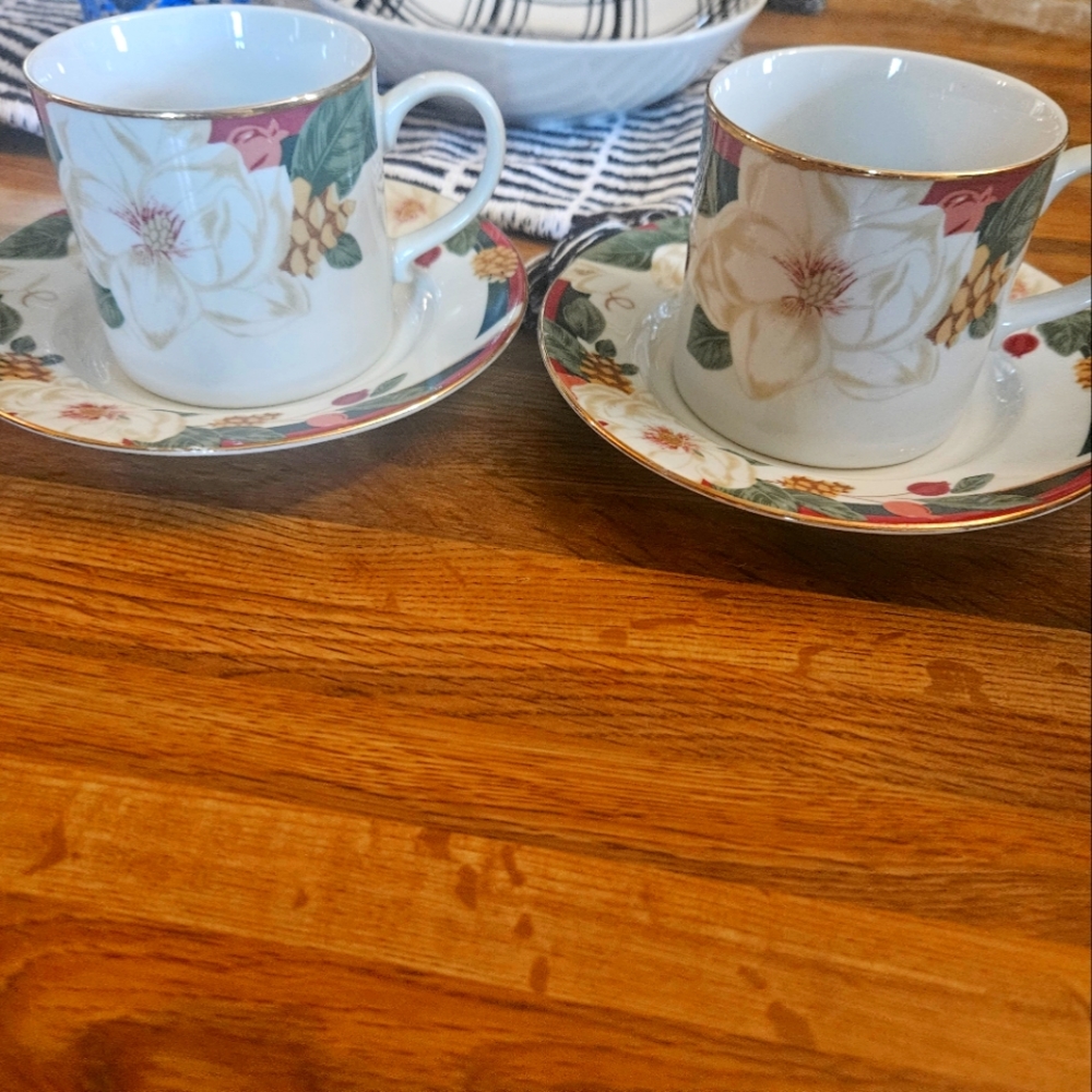 Tienshan Fine China Magnolia Cup Saucer Set Red Green Bands White